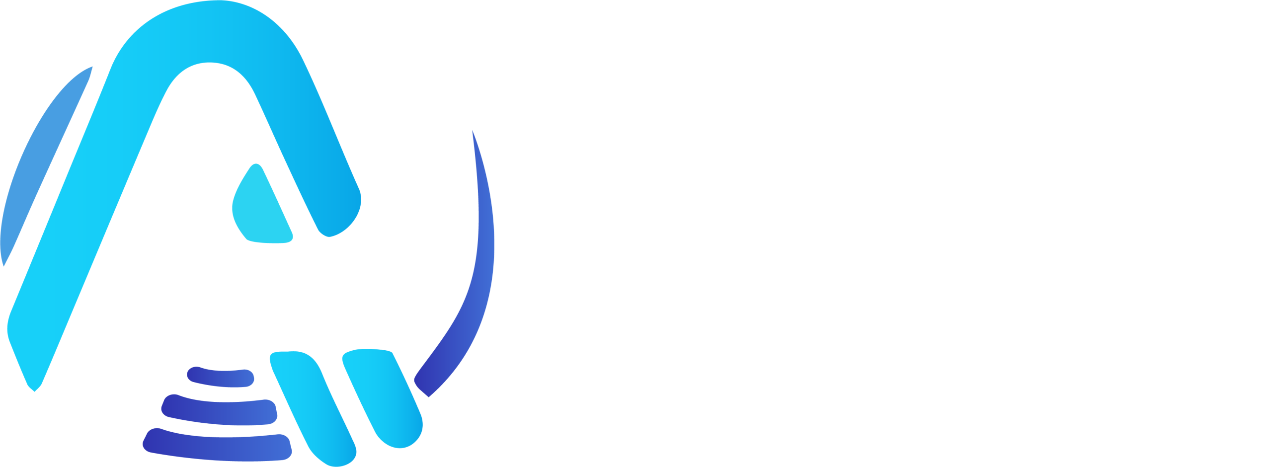 Logo_AP-Solutions (1)